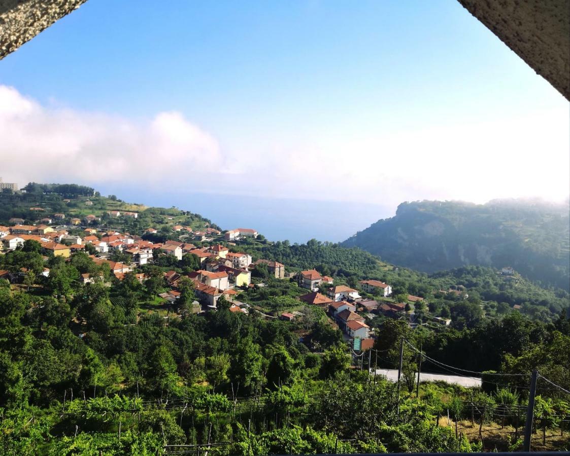 Agriturismo Il Castagno Villa Agerola Exterior photo