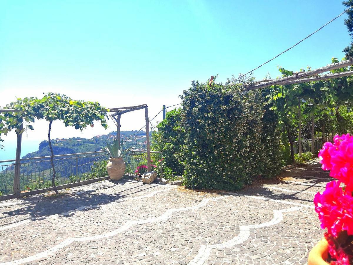Agriturismo Il Castagno Villa Agerola Exterior photo